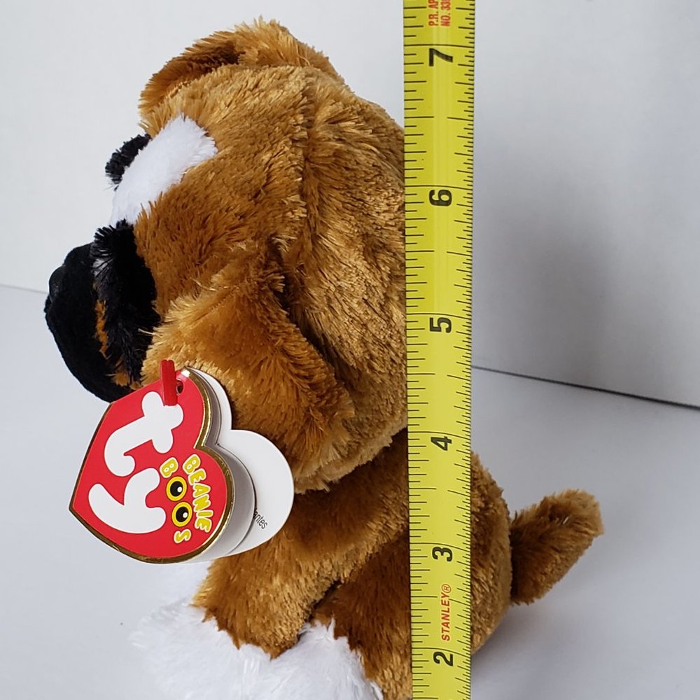 Ty Beanie Boo Brutus the Boxer - Picture 7 of 9